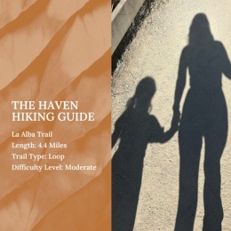 shadow of a woman and little girl walking hand in hand