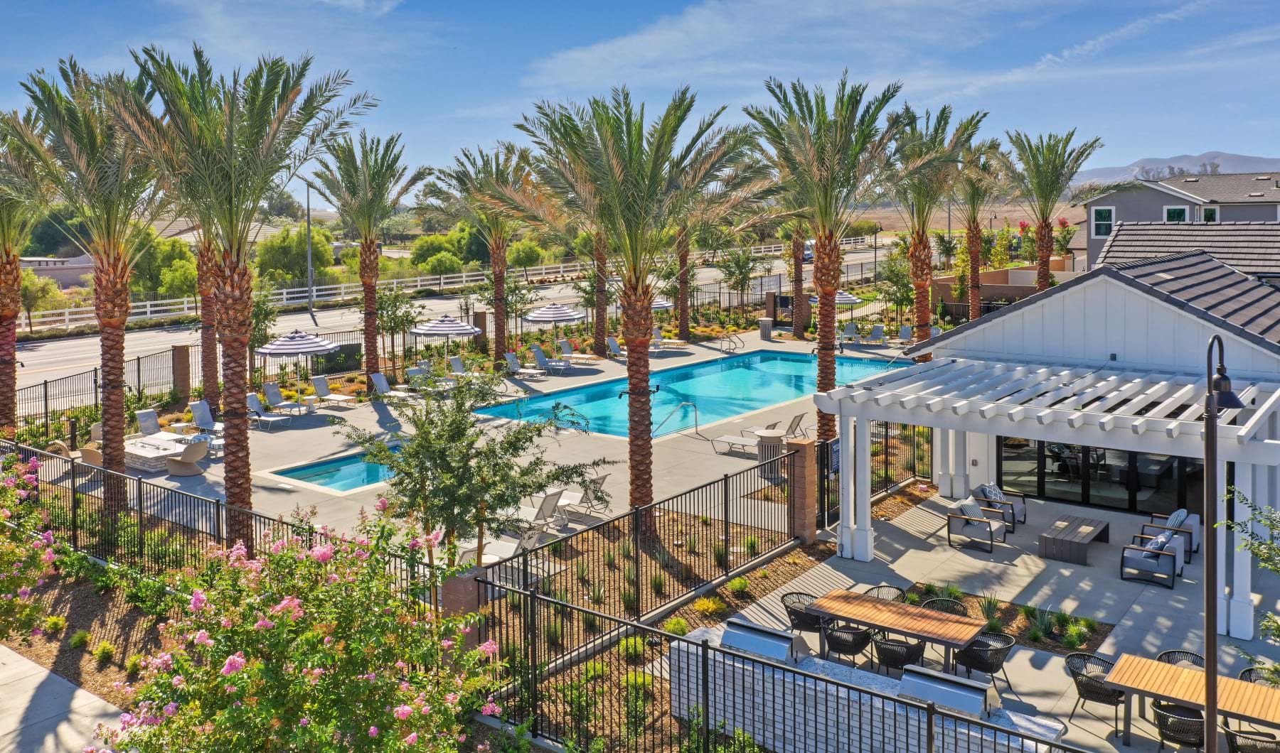 Haven’s community pool surrounded by palm trees, lounge seating, and shaded outdoor gathering areas.