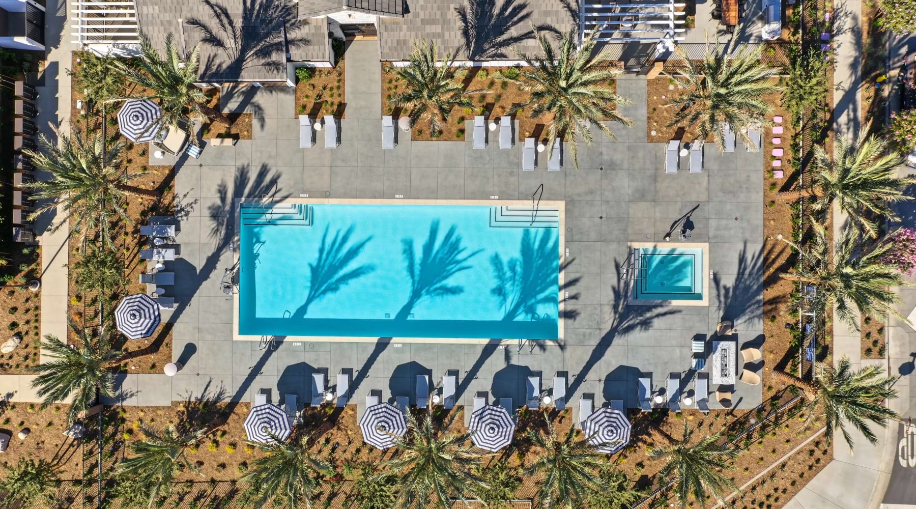 Overhead view of Haven’s pool and spa surrounded by palm trees, lounge chairs, and shaded seating.